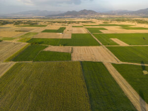 Agricultura regenerativa em 2024