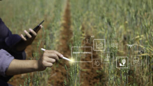 Internet-das-Coisas-IoT-na-agricultura-scaled.jpg